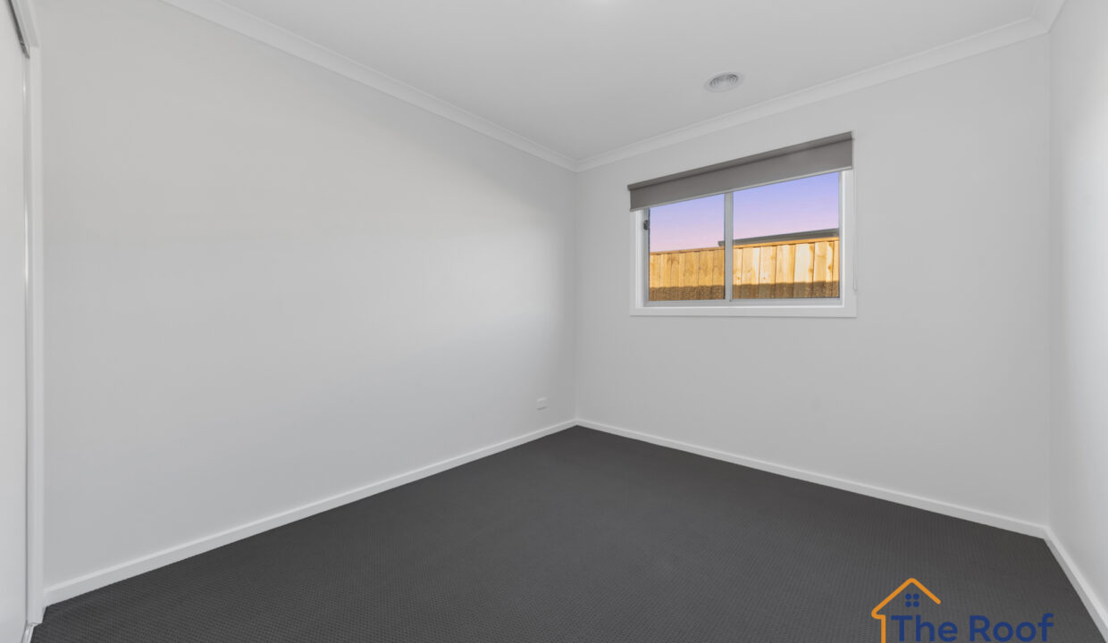 162155273__1756977729-109798-OSMEDIA-3