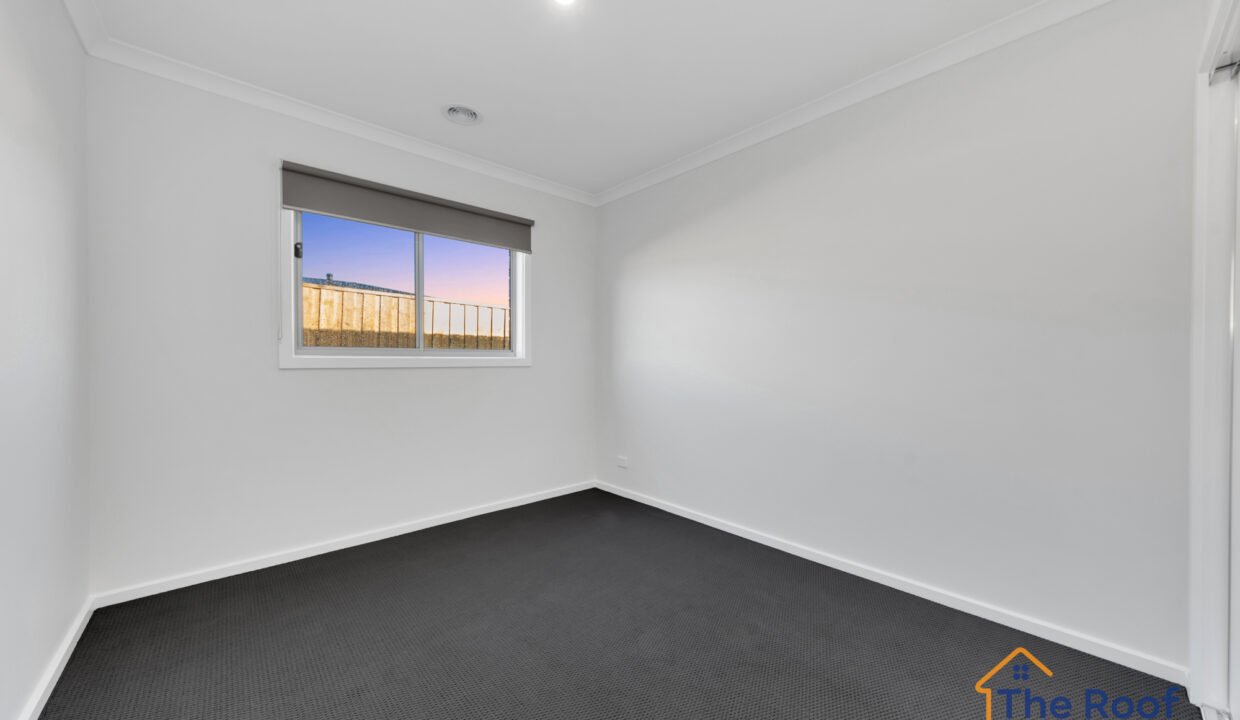 162155277__1756977734-109713-OSMEDIA-4