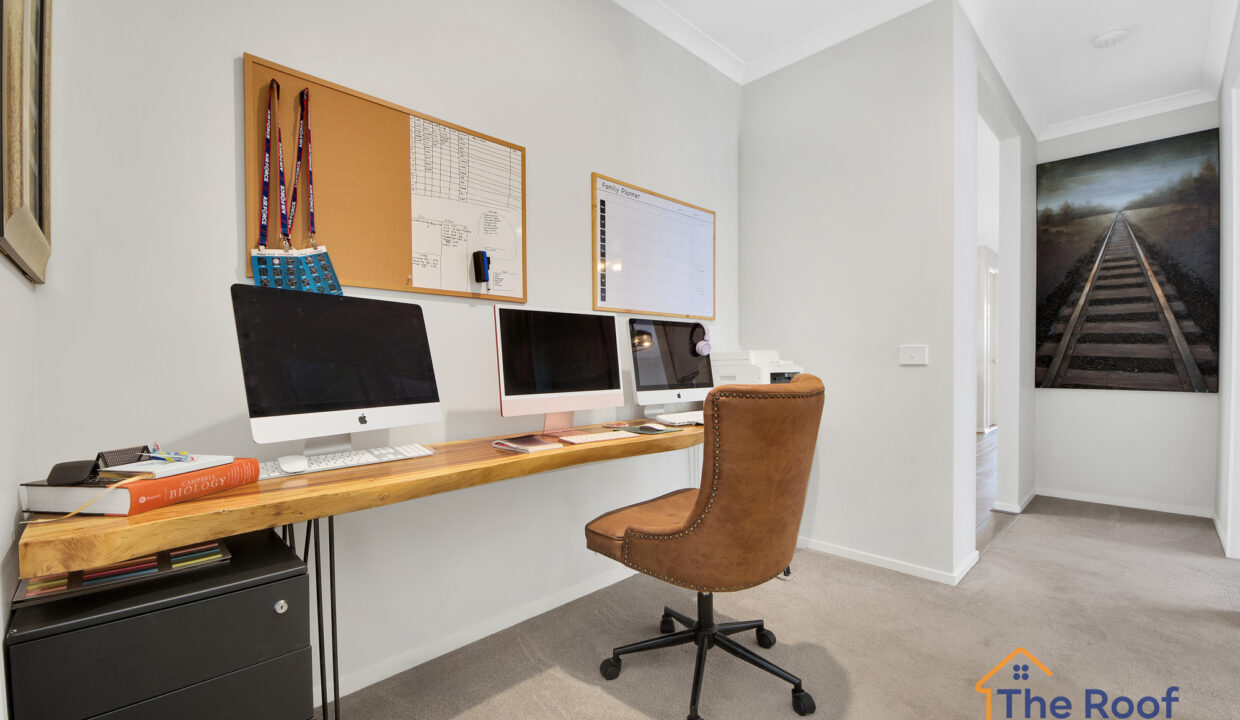 162769007__1757407859-114898-OSMEDIA-6