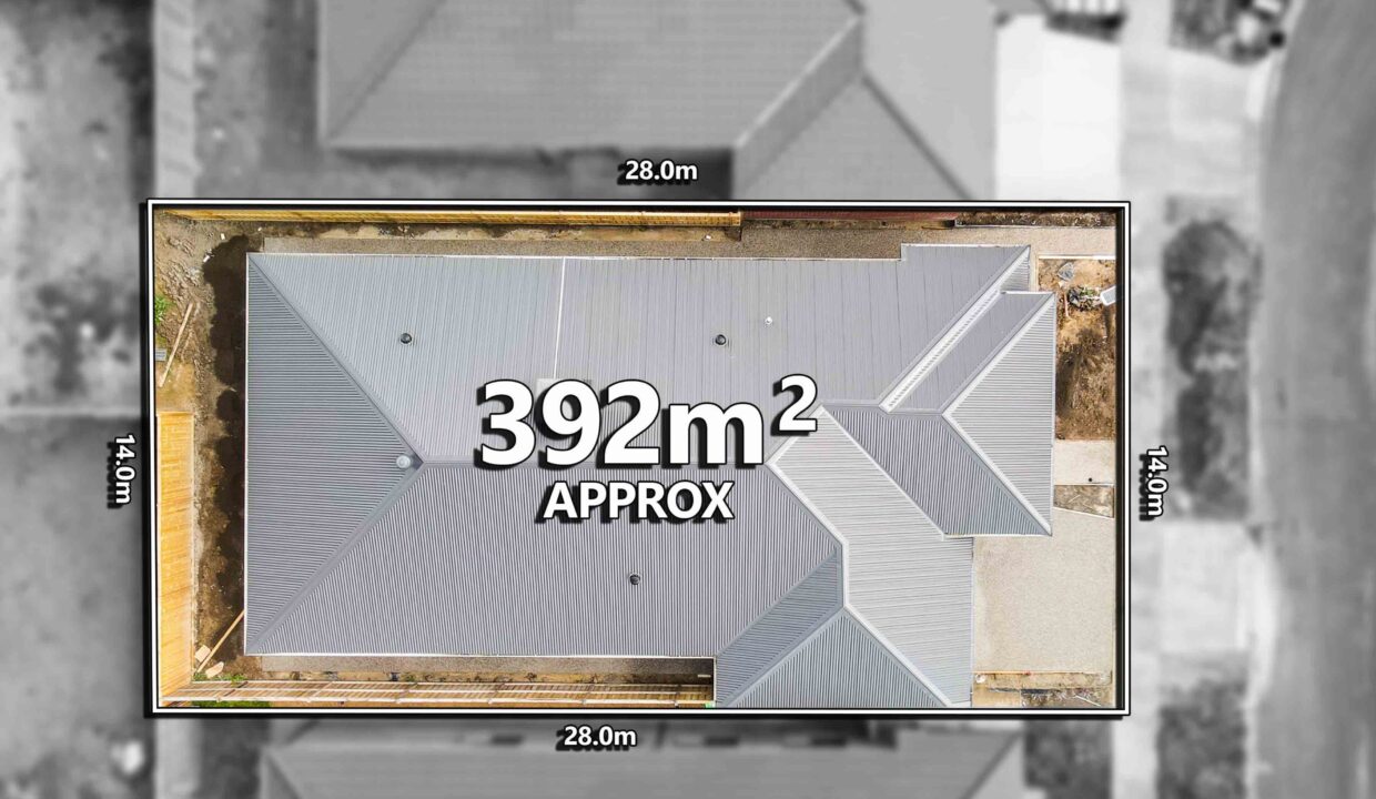 163416884__1757904013-59715-OSmedia21