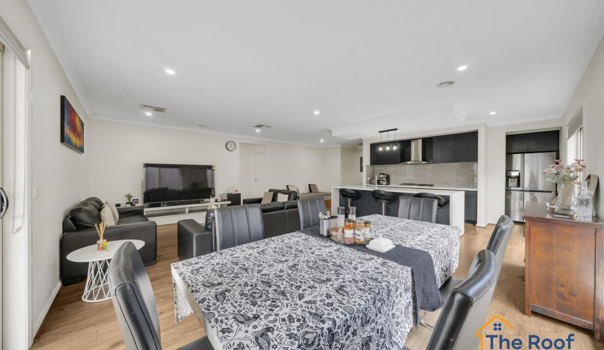 175490476__1763451004-103447-OSMEDIA-11