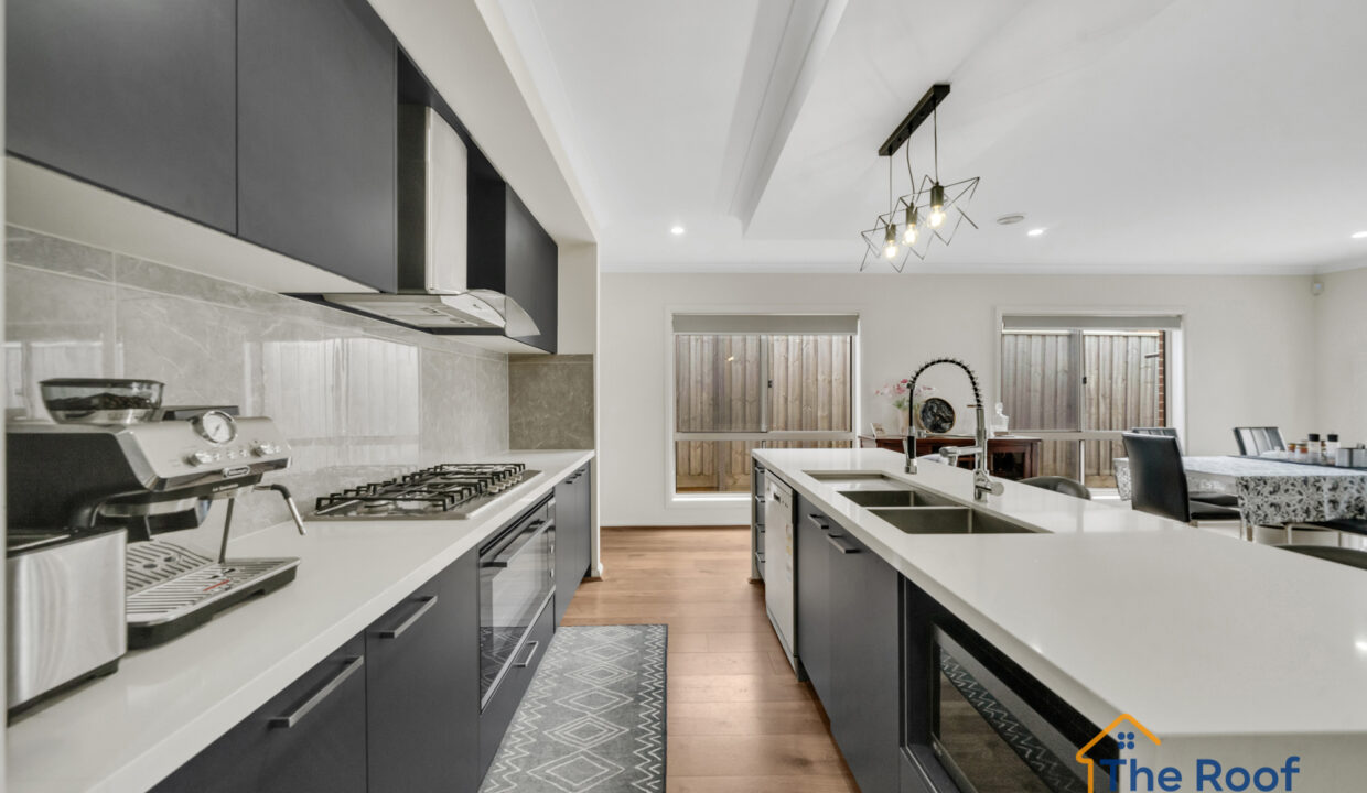 175490485__1763451017-116562-OSMEDIA-13