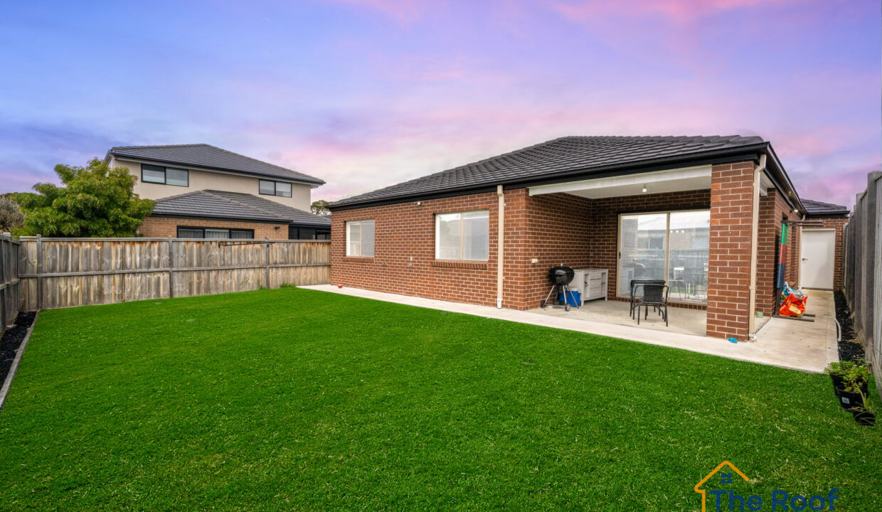 175490559__1763451031-116609-OSMEDIA-14GRASS